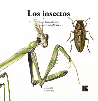 Carlos Velázquez Los insectos