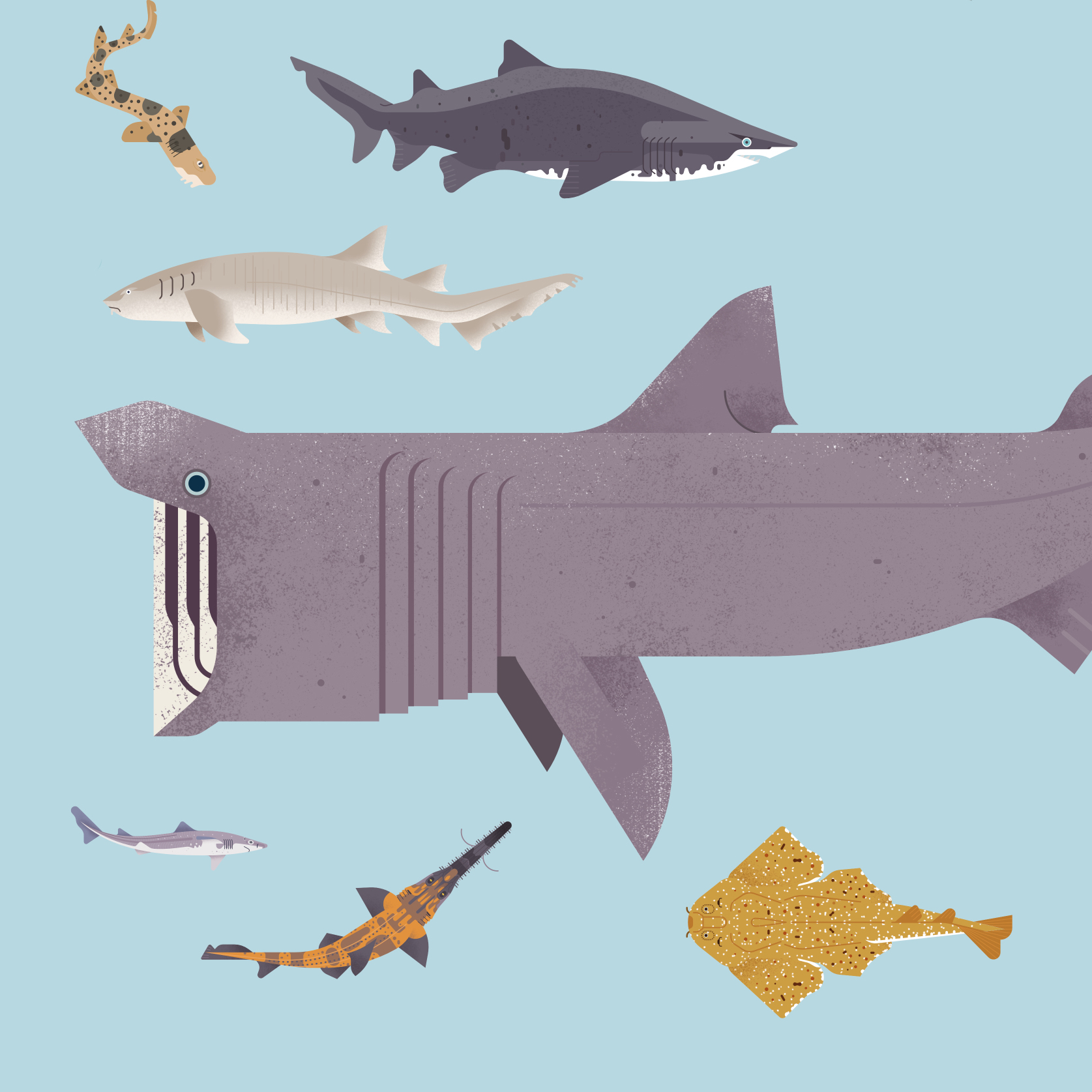 Ángel Svoboda Poppink Tiburones poster