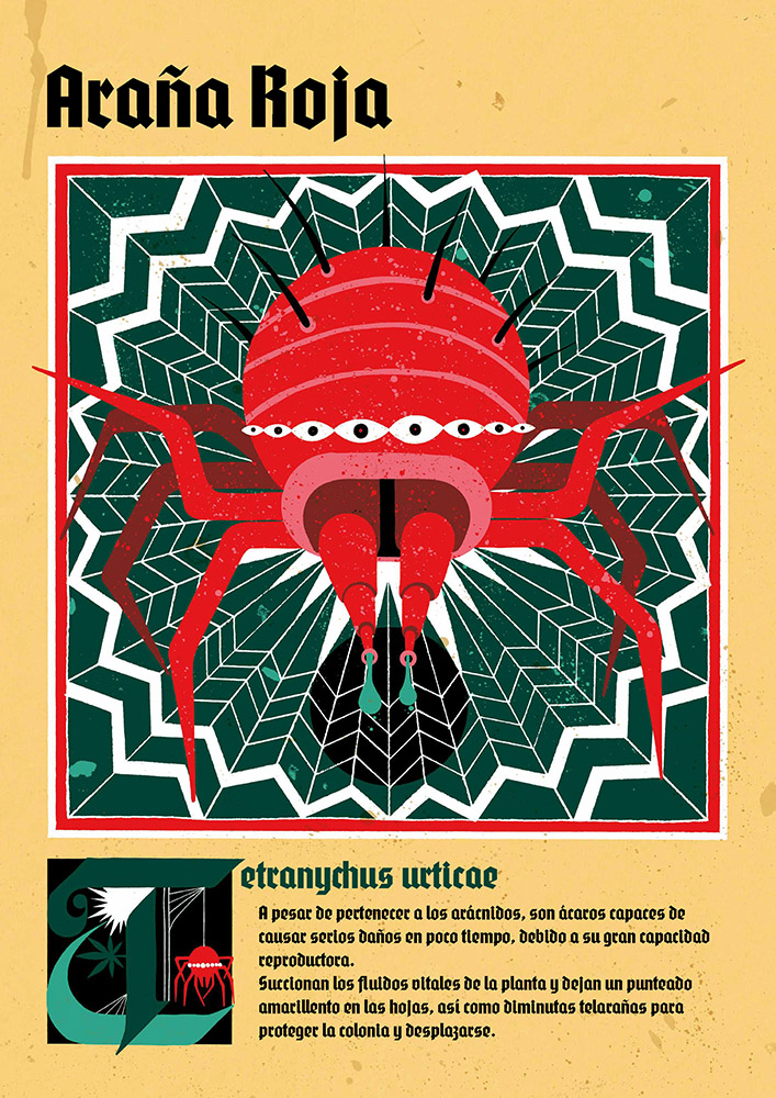PLAGAS-CANNABICAS_Pagina_02