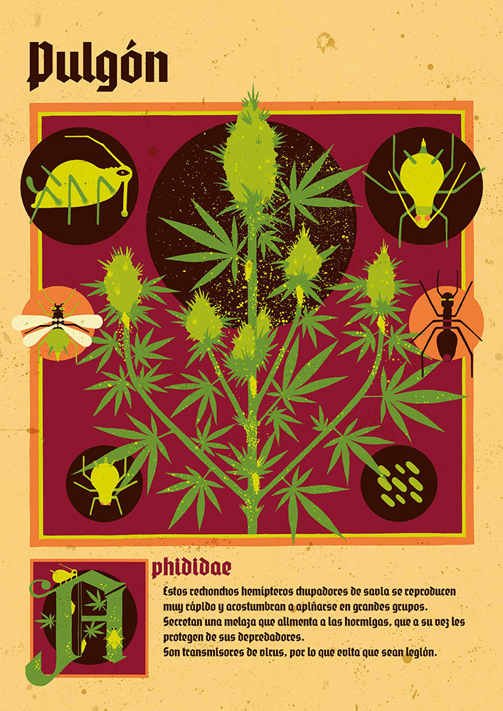 PLAGAS-CANNABICAS_Pagina_03