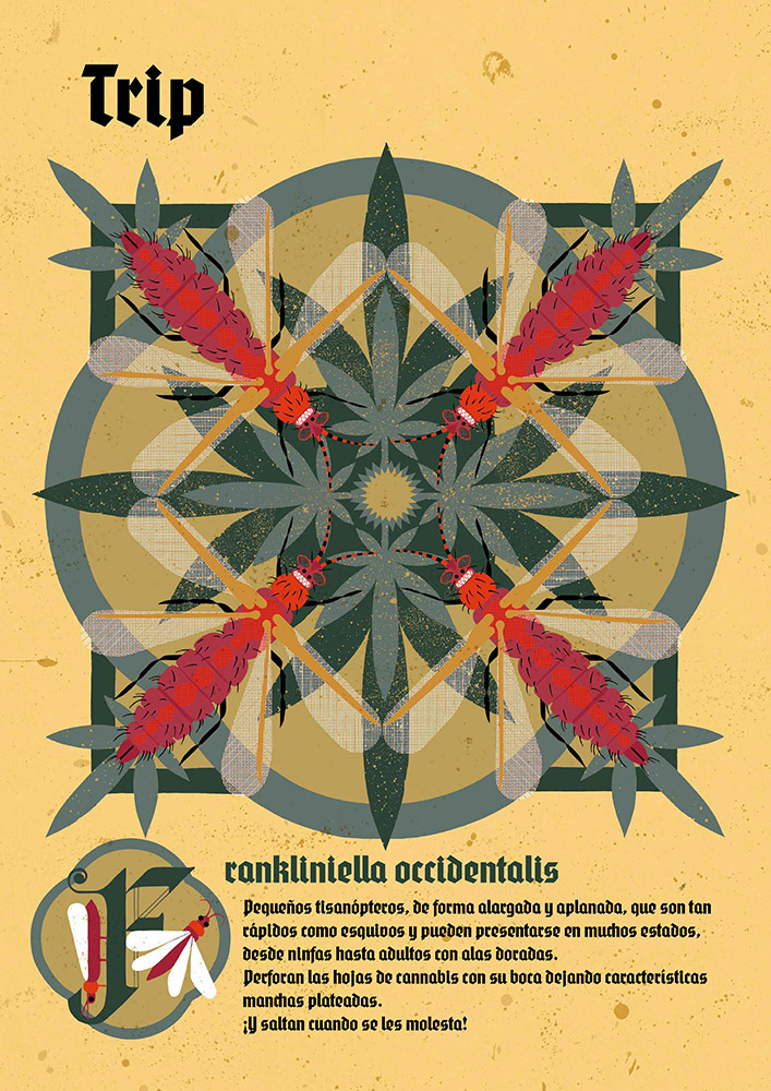 PLAGAS-CANNABICAS_Pagina_04