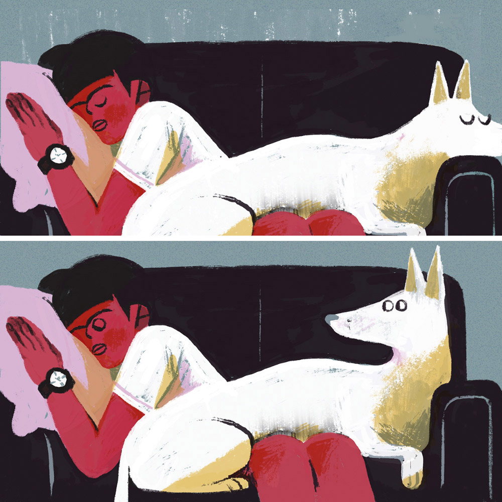Rut_P_2021_12-Iberoamerica-Ilustra_-Parque-de-perros-01
