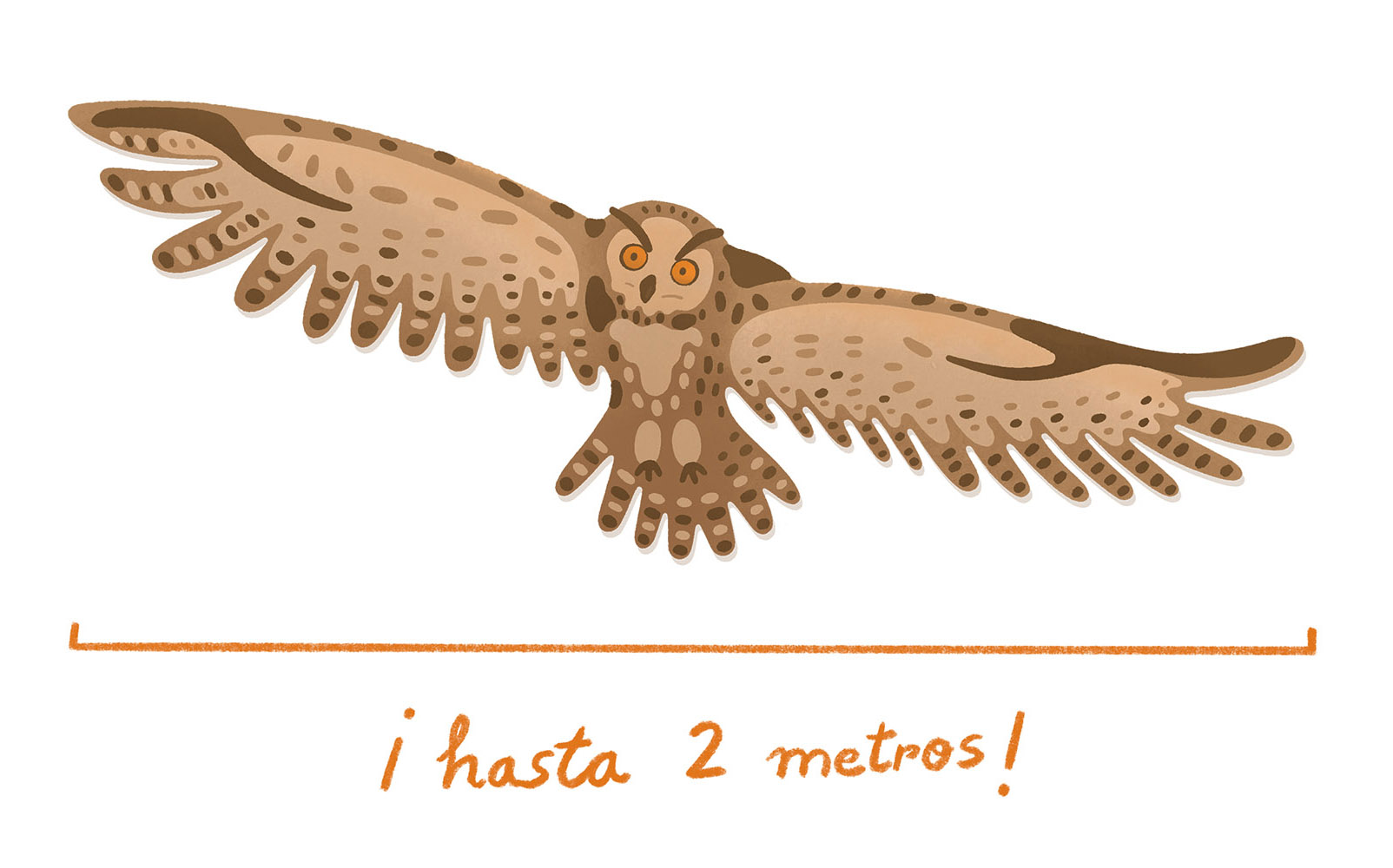 Tania_V_2023_Santillana_Animales-misteriosos-07