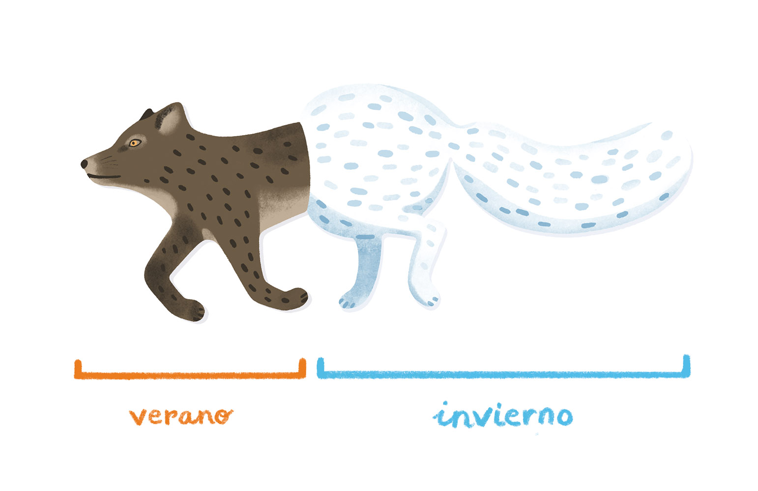Tania_V_2023_Santillana_Animales-misteriosos-13