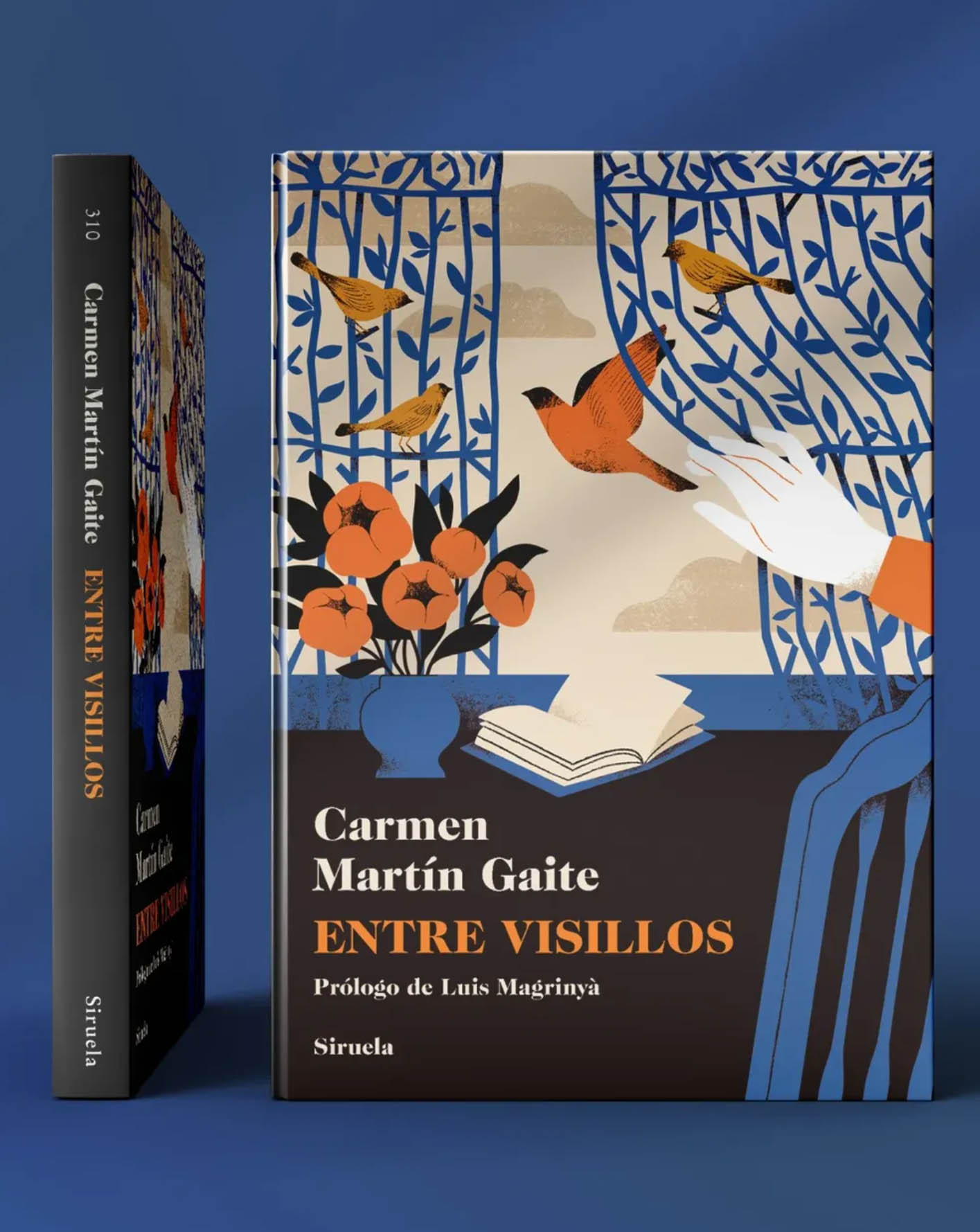 Entre visillos · Siruela