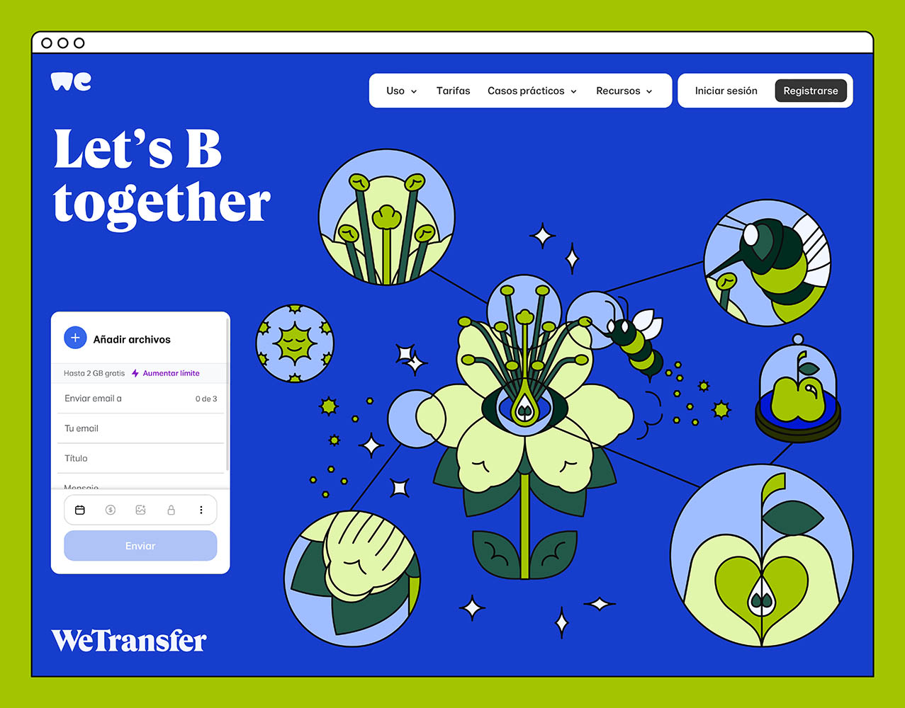 Ana Cuna Wetransfer B-Corp
