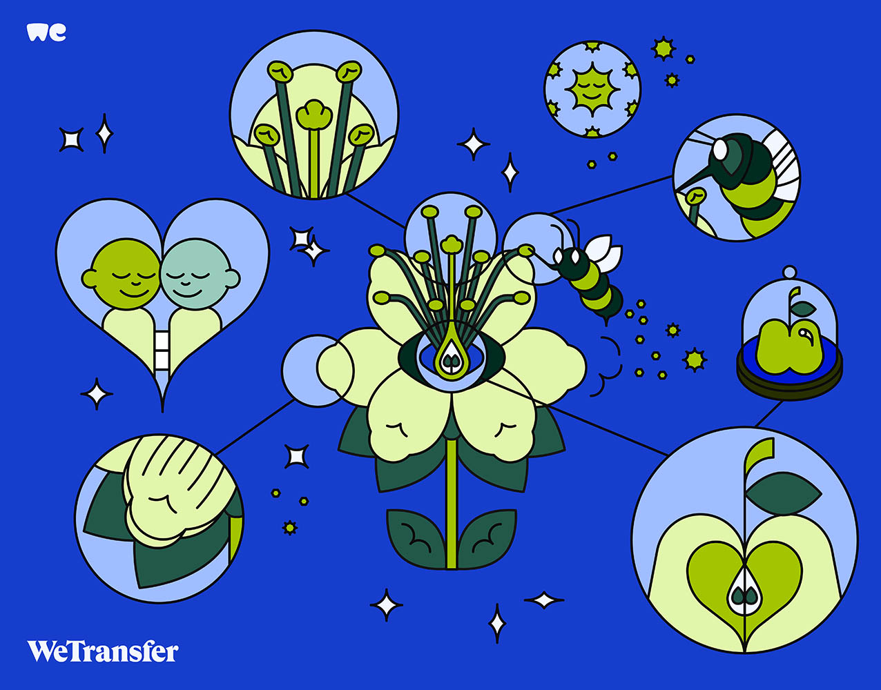 Ana Cuna Wetransfer B-Corp