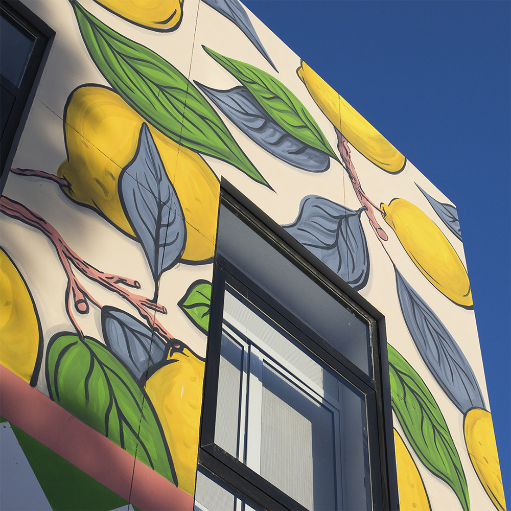 Isa Nieto Universidad de Málaga Mural Moments Festival