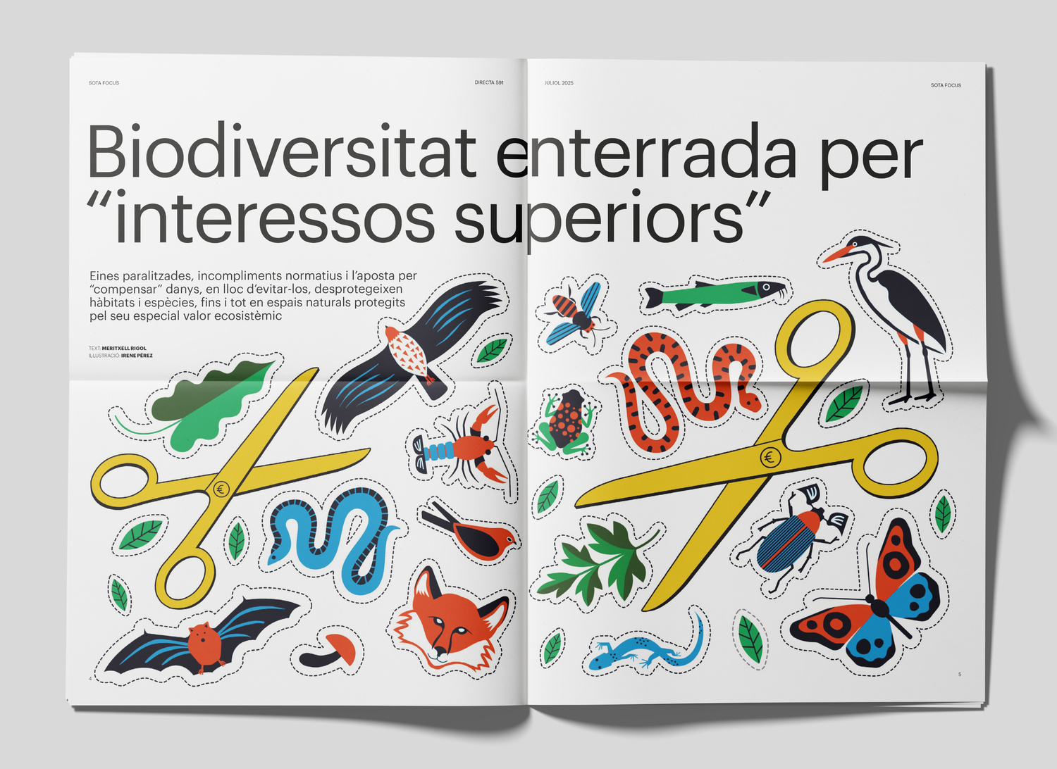 Irene Perez Directa Biodiversidad